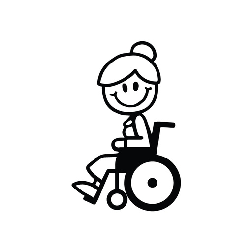 FH Karin kørestol