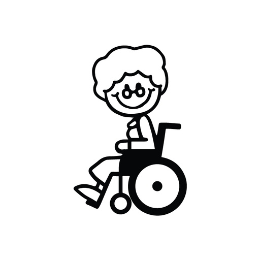 FH Sonja kørestol